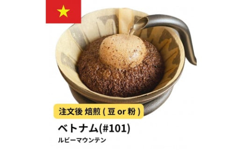 コーヒー #101 ルビーマウンテン （ベトナム アラビカ） 310g 当日焙煎 大山珈琲 （豆または中挽きから選択） 2115165 - 大阪府堺市