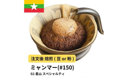 コーヒー #150 ミャンマー G1 星山 310g 当日焙煎 大山珈琲 （豆または中挽きから選択） 2115166 - 大阪府堺市