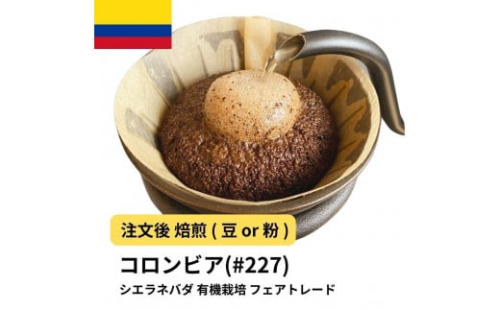 コーヒー #227 コロンビア シエラネバダ 有機栽培 310g 当日焙煎 大山珈琲 （豆または中挽きから選択） 2115167 - 大阪府堺市