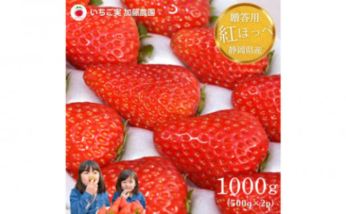 【2026年出荷の先行予約】【贈答用】 静岡県産いちご 紅ほっぺ 500g×2パック（1パック12～15粒）【配送不可：北海道・沖縄・離島】 冷蔵配送 苺 フルーツ 2115168 - 静岡県静岡市