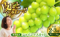 【限定数量】【2025年8月下旬発送開始】シャインマスカット 約1.1kgから1.3kg 合計2から3房 / しゃいんますかっと 新鮮 種なし フルーツ 果物 ギフト 熊本県 菊陽町 旬 大きい 人気 皮ごと 旬 くだもの フルーツ【りとる農房】 [BHBO001]