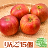 りんご15個【令和4年10月から順次お届け】 田舎の頑固おやじが厳選！ 茨城県 県産 つくばみらい市 人気 厳選 果物 くだもの 旬 旬の果物 旬のフルーツ りんご 林檎 リンゴ 冷蔵 送料無料
