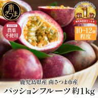 【鹿児島県産】パッションフルーツ 約1kg（10～12個程度） フルーツ 果物 旬 南国 鹿児島 南さつま市 清直kajuen