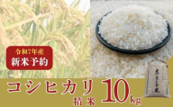 〈数量限定〉【2025年収穫後順次発送】新米コシヒカリ　10kg（精米）コシヒカリ こしひかり 新米 米 こめ ご飯 ふっくら つやつや 大和高原 コシヒカリ 大和高原醸造所 奈良県 奈良市 なら 32-006