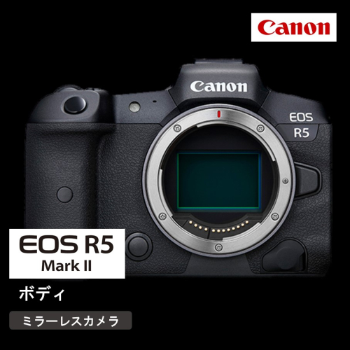 キヤノン ミラーレスカメラ EOS R5 Mark2（ボディーのみ）_0047C 2115424 - 大分県国東市