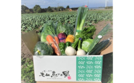 新鮮朝採れ野菜セット