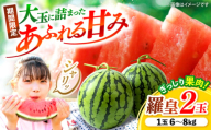 スイカ すいか 羅皇2玉 （1玉当たり6〜8kg） ＜武藤農園＞ [CFV007] 甘い 大玉 旬 ギフト プレゼント フルーツ 夏 すいか スイカ スイカ すいか