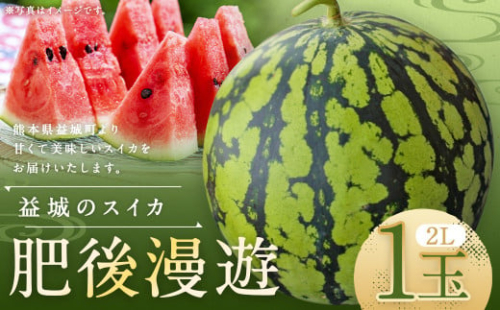 熊本県 益城町 スイカ 肥後漫遊 2L 1玉  約7kg 【2025年6月下旬迄発送予定】 2115489 - 熊本県益城町
