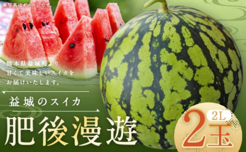 熊本県 益城町 スイカ 肥後漫遊 2玉 (2玉×2L) 計約14kg 【2025年6月下旬迄発送予定】 2115490 - 熊本県益城町