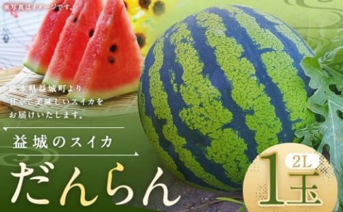 熊本県 益城町 スイカ だんらん 2L 1玉  約7kg 【2025年6月下旬迄発送予定】 2115491 - 熊本県益城町