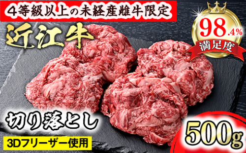 【森三商会】4等級以上の未経産雌牛限定　近江牛切り落とし500g（ロース・肩ロース・ウデ・モモ・バラ）【GM14W】 2115492 - 滋賀県近江八幡市