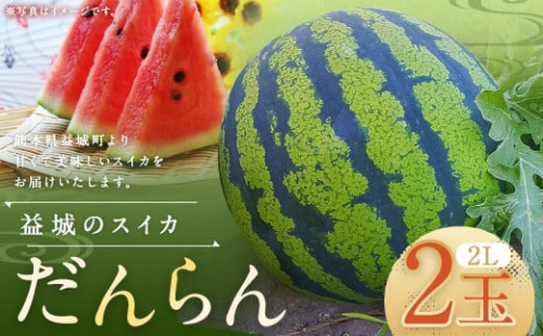 熊本県 益城町 スイカ だんらん 2玉  (2玉×2L) 計約14kg 【2025年6月下旬迄発送予定】 2115493 - 熊本県益城町