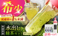 高級煎茶「白川の誉」（100g×3袋）＆フィルターインボトル（750ml）水出し緑茶セット お茶 白川茶 水出しボトル 白川町 / 菊之園 [AWAG014]