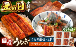日本最大のうなぎ名産地《鹿児島県》から届いた新鮮なうなぎ！おいしい海鮮料理を長年追求してきた「山水商事」が丁寧に蒲焼にして、1人前ずつ真空パックでお届けします！細かくカットしたひつまぶしも一緒にお届け