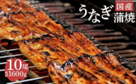 国産 うなぎ 蒲焼 10尾 1600g お吸い物 タレ 山椒鰻 冷蔵 匠 セット 真空 小分け 丑の日 沼津 うなよし 静岡県 人気 コスパ 老舗 高級