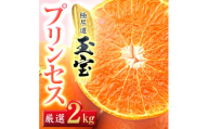 ≪新品種!!≫＜甘平×まどんな＞愛果48号(紅プリンセスと同品種)2kg＜D64-76＞【1621821】