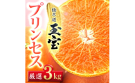 ≪新品種!!≫＜甘平×まどんな＞愛果48号(紅プリンセスと同品種)3kg＜E64-77＞【1621822】