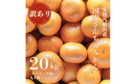 ＜創業85年 親子4代 愛媛みかん 一筋＞訳あり 愛媛みかん 20kg＜H20-82＞【1623264】
