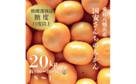 ＜糖度11度以上 酸1.0以下 糖酸選別品＞愛媛みかん 20kg＜H20-83＞【1623267】