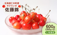 先行受付 北海道 仁木町産 さくらんぼ 佐藤錦 600g (300g×2) L・M混合 旬の果物 サクランボ チェリー フルーツ 果物 果物類 仁木町 仁木 [UMIX FARM]