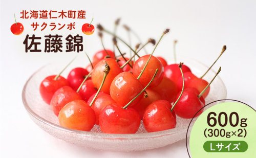 先行受付 北海道 仁木町産 さくらんぼ 佐藤錦 600g （300g×2） L以上　旬の果物 サクランボ チェリー フルーツ 果物 果物類  仁木町 仁木 [UMIX FARM] 2116303 - 北海道仁木町