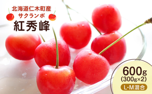 先行予約 北海道 仁木町産 さくらんぼ 紅秀峰 600g （300g×2） L・M混合　旬の果物 サクランボ チェリー フルーツ 果物 果物類  仁木町 仁木 [UMIX FARM] 2116304 - 北海道仁木町