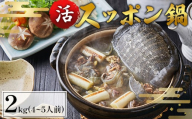 【9月お届け】綾部で育てた！！スッポン鍋 2kg （4～5人前） 【 国産 活スッポン 健康 スッポン スッポン鍋 スッポン鍋セット すっぽん 鍋 滋養強壮 コラーゲン 京都 綾部 】