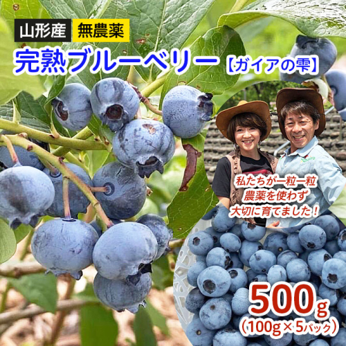 山形産 無農薬 完熟ブルーベリー【ガイアの雫】500g(100g×5パック)【令和8年産先行予約】FS24-500 211661 - 山形県山形市