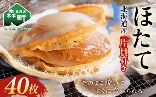 【先行予約】 北海道・噴火湾・森産　冷凍ほたて片貝40枚 ＜海鮮問屋　株式会社　瑞宝＞ 森町 ほたて 帆立 ホタテ 海産物 魚貝類 ふるさと納税 北海道 mr1-0916 2116644 - 北海道森町