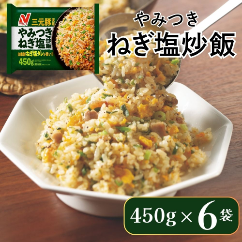 ニチレイフーズ やみつきねぎ塩炒飯 450g 6袋 冷凍食品 冷凍チャーハン 船橋市 2116647 - 千葉県船橋市