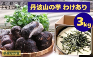 【芋家なか吉】丹波山の芋 わけあり 3キロ ［ 京都 山の芋専門店 職人 とろろ 芋 いも イモ 野菜 3kg 不揃い 事業者応援品 応援 人気 おすすめ お取り寄せ 通販 送料無料 ふるさと納税 ］