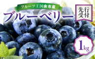 【先行予約：8月上旬以降発送】フルーツ王国余市産 生ブルーベリー 1Kg【ニトリ観光果樹園】