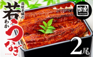 【土用の丑の日お届け】老舗蒲焼本舗の若うなぎ 2尾セット 蒲焼 ウナギ