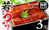 【土用の丑の日お届け】老舗蒲焼本舗の若うなぎ 3尾 セット 蒲焼 ウナギ