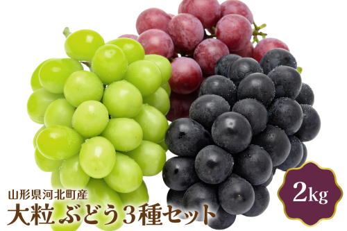 【令和7年産】大粒ぶどう3種セット 2kg 山形県河北町産【JAさがえ西村山】 2117284 - 山形県河北町