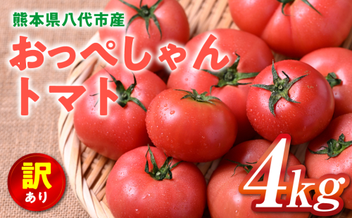 【先行予約】 訳あり おっぺしゃんトマト 4kg トマト とまと 野菜 やさい 旬の野菜 新鮮な野菜 地元産野菜 ご当地 国産 特産品 家庭用 食卓 【2025年11月上旬より順次発送】 2117385 - 熊本県八代市