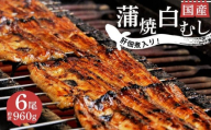 国産 うなぎ 蒲焼 4尾 白むし 2尾 計6尾 鰻 カット 肝 佃煮 1袋 即席 お吸い物 6袋 真空 小分け 満腹 セット 丑の日 沼津 うなよし 静岡県 人気 コスパ  老舗 高級