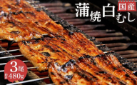 国産 うなぎ 鰻 蒲焼 2尾 白むし 1尾 計480g 即席 お吸い物 セット カット 真空 小分け 丑の日 沼津 うなよし 人気 高級 静岡県