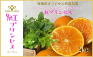 柑橘界のサラブレット!!「まどんな」と「甘平」を親に持つ!!　「紅プリンセス」2キロ＜D39-76＞【1621674】