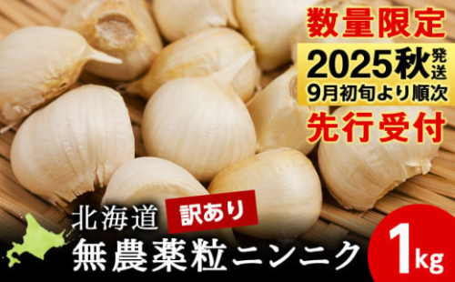 【数量限定】訳あり無農薬粒ニンニク1kg（500g×2袋）バラ 粒 無農薬 にんにくガーリック 2117681 - 北海道積丹町