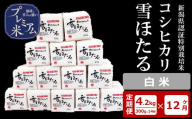 【12ヶ月定期便】甘味の強いプレミアム米 雪ほたる 新潟県認証特別栽培米 コシヒカリ 白米 真空パック 4.2kg（300g×14個）×12回（計 50.4kg） アグリーホンマ[Y0514]
