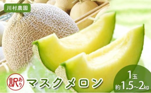【静岡・三保松原の甘い誘惑マスクメロン】訳ありでも甘い！マスクメロン 1玉（約1.5kg～2kgサイズ） 2117751 - 静岡県静岡市