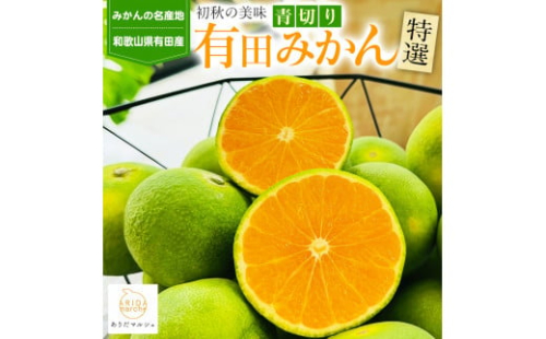 特選 青切り有田みかん 約2kg ［2025年9月中旬より発送］［MS20］ 2117806 - 和歌山県上富田町