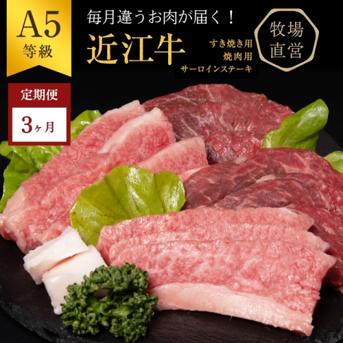 【近江牛　西川畜産】【3か月定期便】近江牛A5ランク雌牛　毎月違う肉が届く!近江牛味わいセット 2117808 - 滋賀県豊郷町