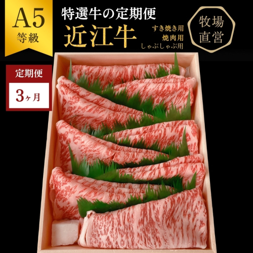 【近江牛 西川畜産】【3か月定期便】近江牛A5ランク雌牛 特選牛の定期便 2117809 - 滋賀県豊郷町