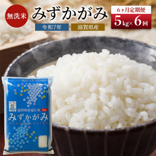 【令和7年産新米】【先行受付開始】滋賀県産 定期便 6ヶ月 みずかがみ BG無洗米 5kg ふるさと応援特別米 無洗米 お米 こめ コメ おこめ 白米 6回 お楽しみ 2117817 - 滋賀県豊郷町