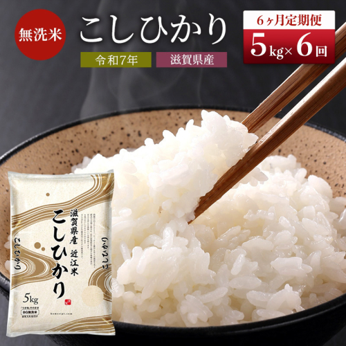 【令和7年産新米】【先行受付開始】滋賀県産 定期便 6ヶ月 こしひかり BG無洗米 5kg ふるさと応援特別米 無洗米 お米 こめ コメ おこめ 白米 コシヒカリ 6回 お楽しみ 2117818 - 滋賀県豊郷町