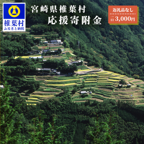 【返礼品なしの寄附】宮崎県椎葉村（1口：3,000円） 2117822 - 宮崎県椎葉村