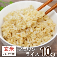 玄米 自然栽培 ブラウンライス 120g×10個 ご飯 パック ごはん 簡単 / はくい農業協同組合 / 石川県 宝達志水町