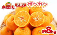 ポンカン 8kg 訳あり ぽんかん 杉本屋  訳あり品 mikan みかん デザート 甘い 果物 くだもの フルーツ 柑橘 みかん 蜜柑 ビタミン お取り寄せ 愛媛みかん 愛媛蜜柑 愛媛県産 産地直送 数量限定 国産 愛媛 宇和島 B015-143020